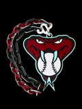 AZ Diamondbacks Oversized Hype Chain